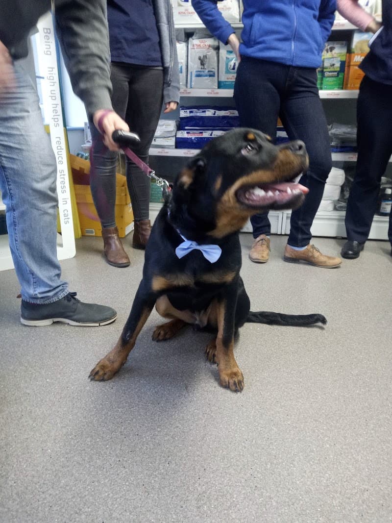 Avondale Veterinary Clinic - Arklow Practice