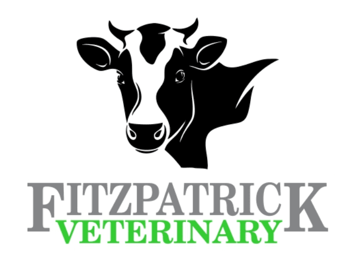 Fitzpatrick's Veterinary Practice