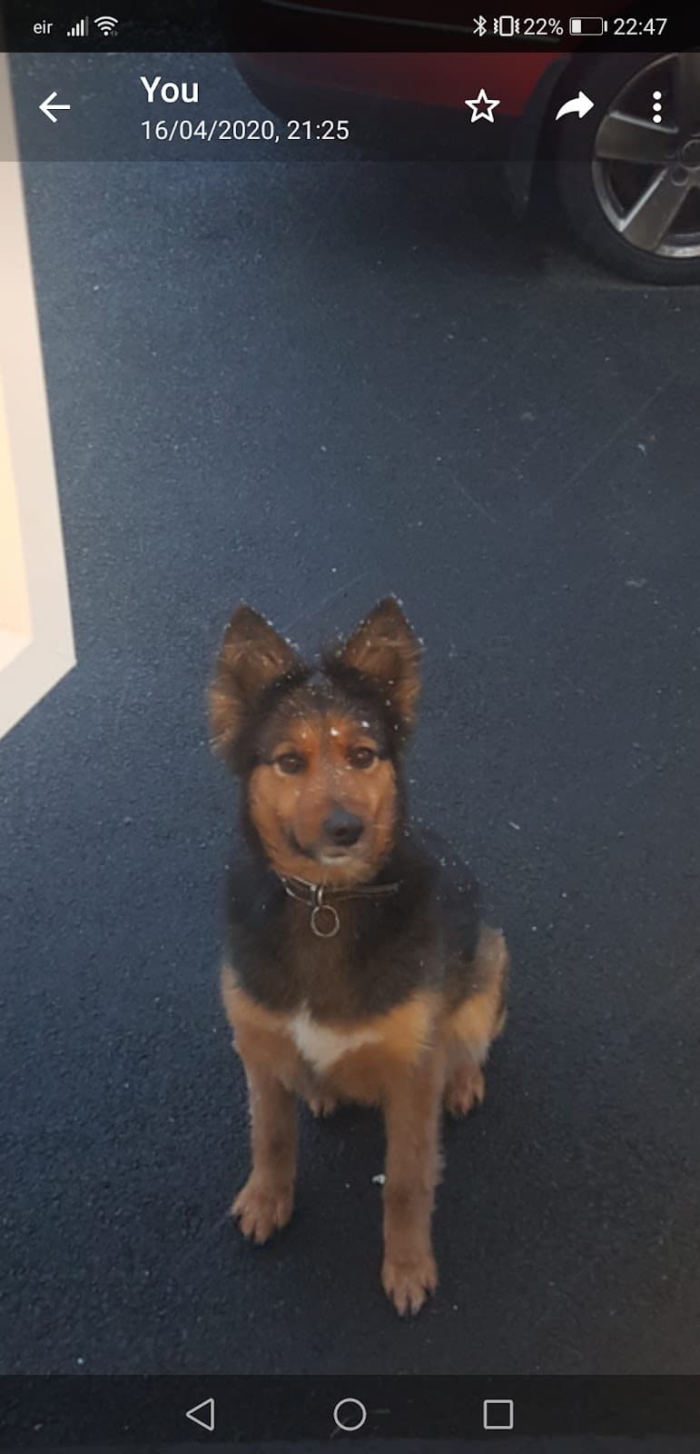 Park Veterinary Centre